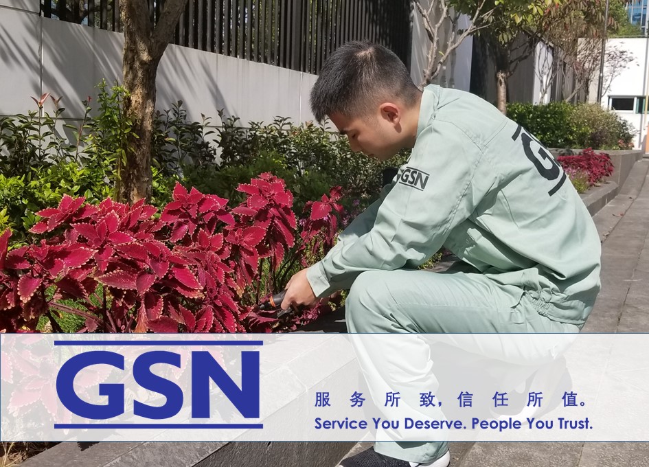 GSN gardening service