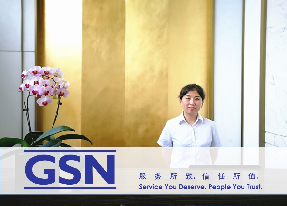 GSN support service